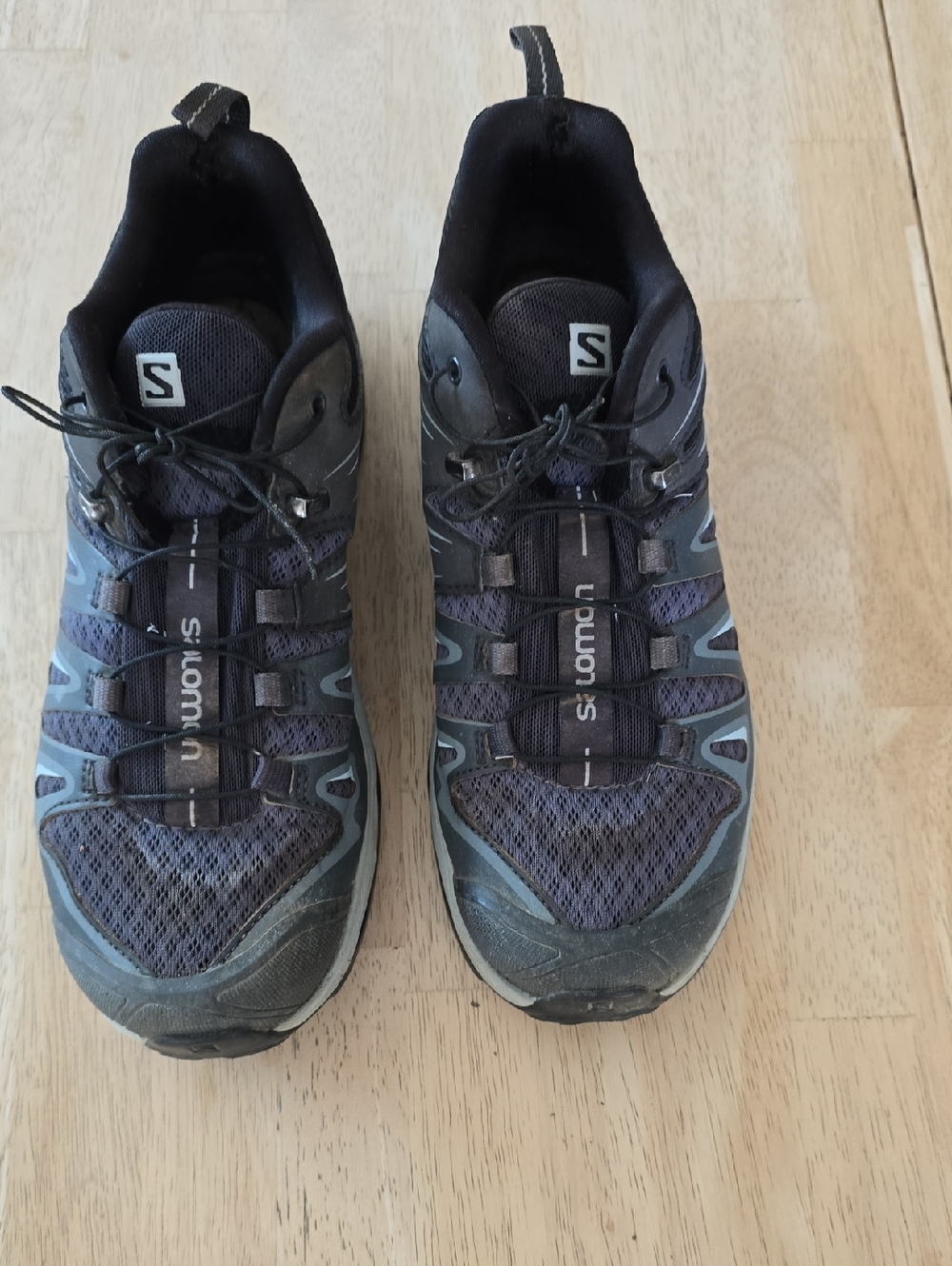Salomon X Ultra Hiking Boots
